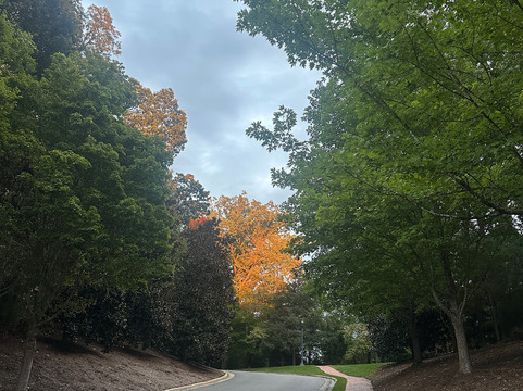 里佐中心酒店 - Hyatt悠选品牌成员主图