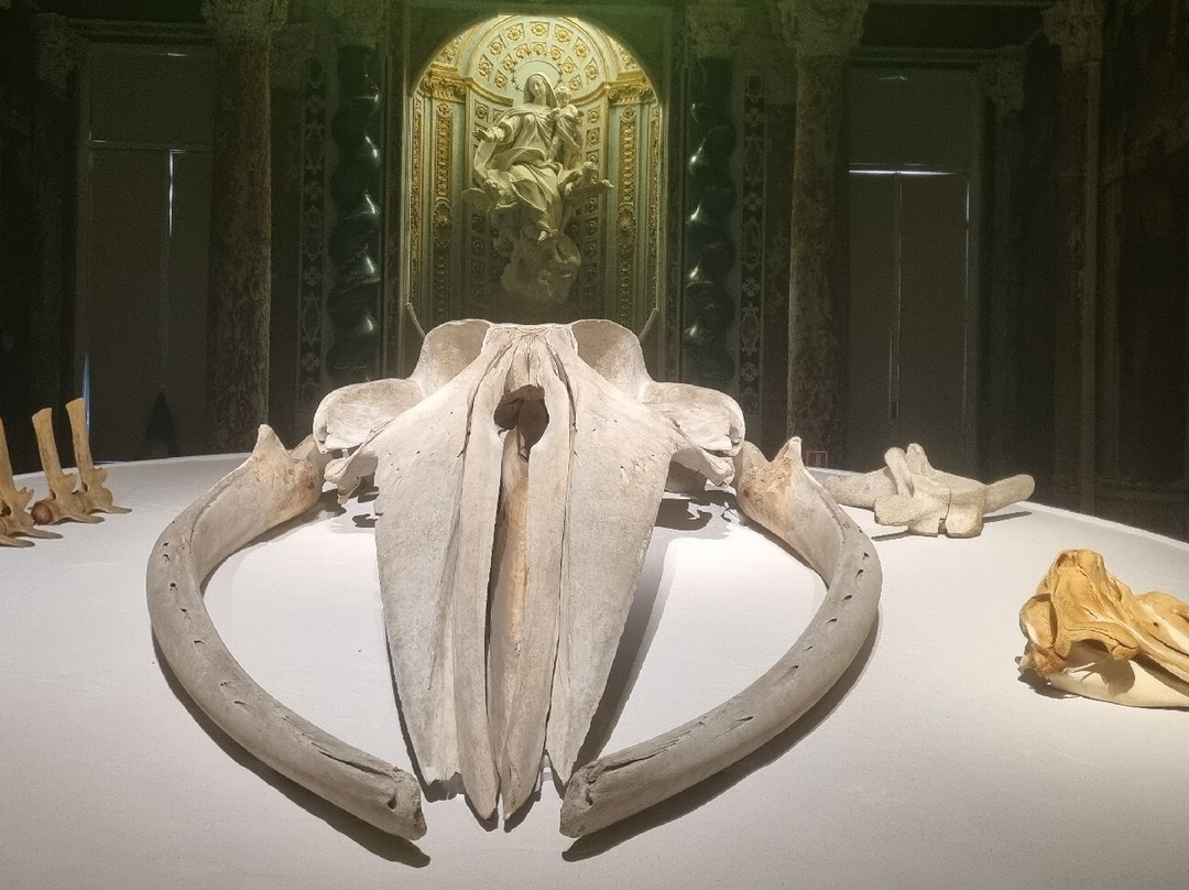 Palazzo Ducale-热那亚必去景点