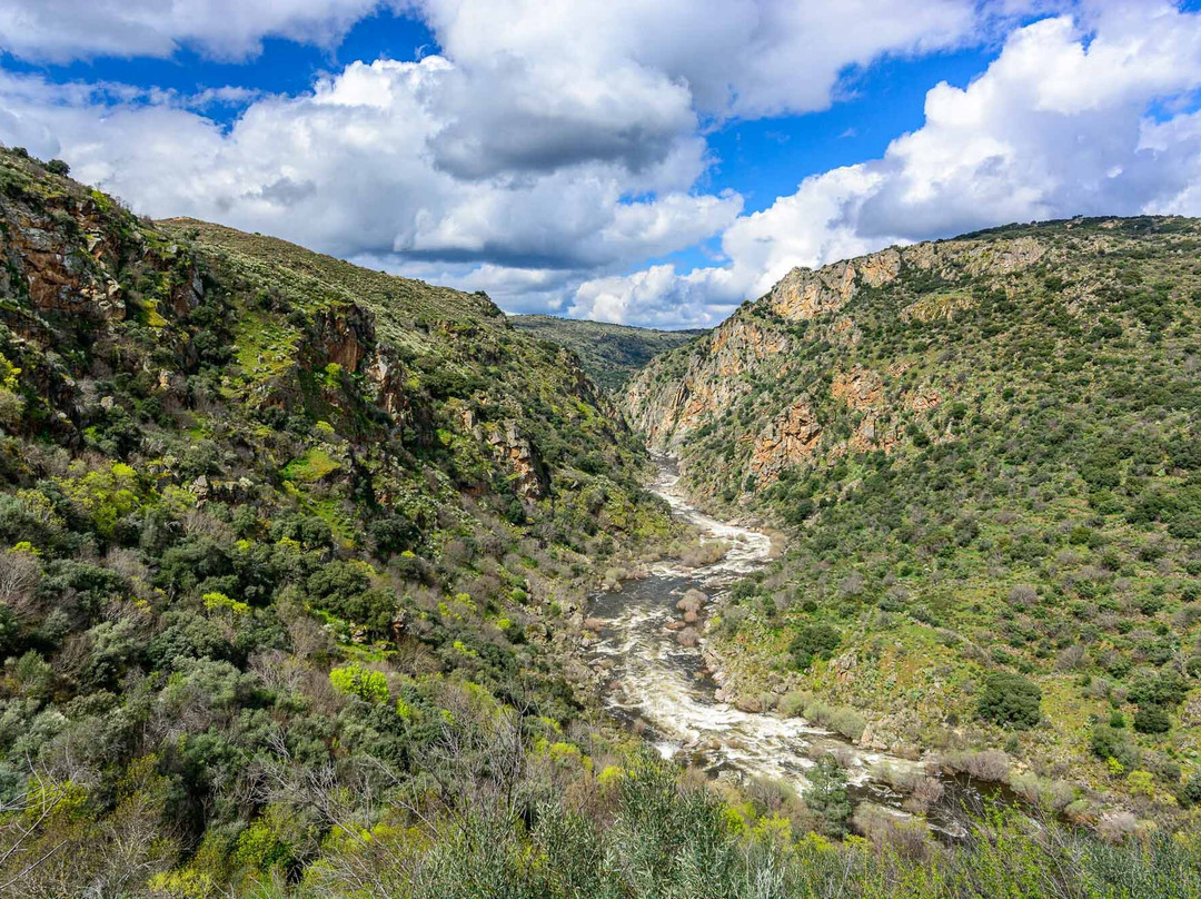 Wildlife Portugal-Guarda必去景点