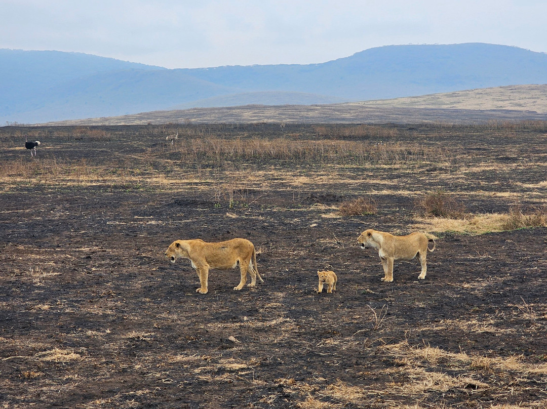 White Snow Travel-坦噶必去景点