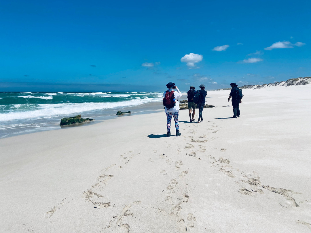 Wild Wellness-赫曼努斯必去景点