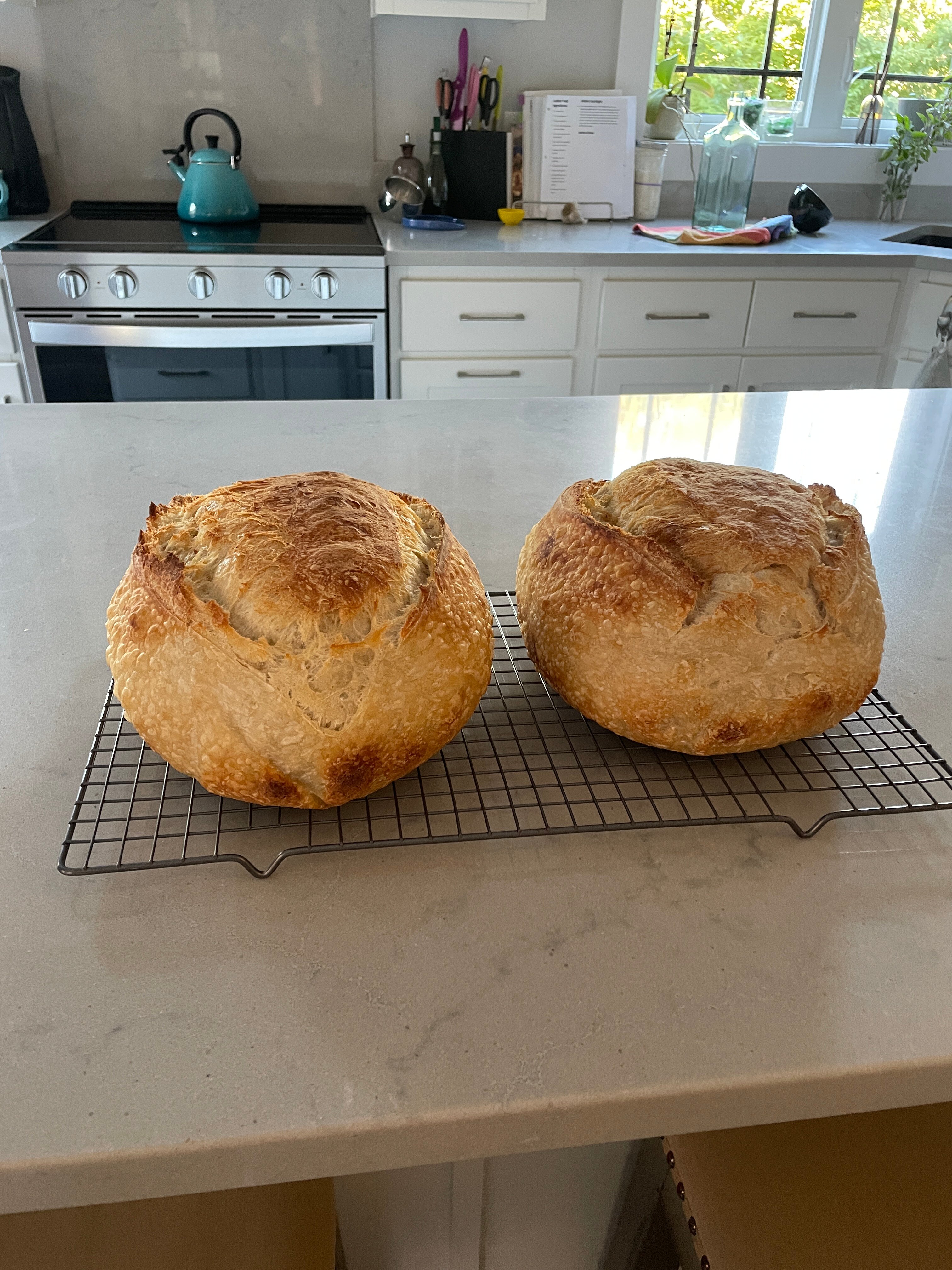 The New Brunswick B&B-官方