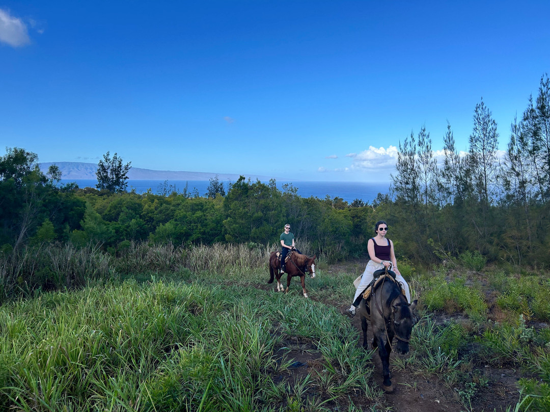 Ironwood Ranch-Napili-Honokowai必去景点
