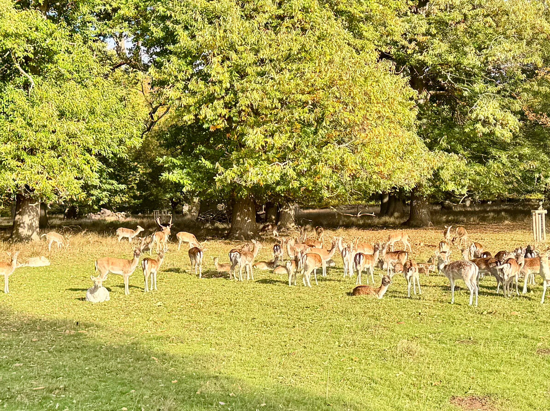 Holkham-Holkham必去景点