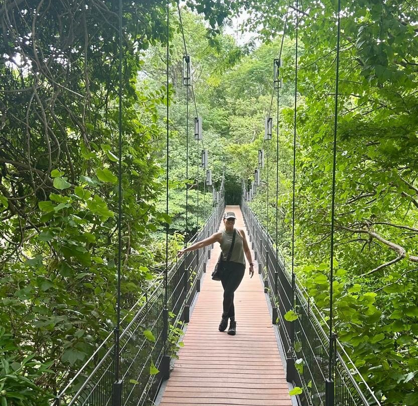 Rio Perdido-巴加塞斯區必去景点