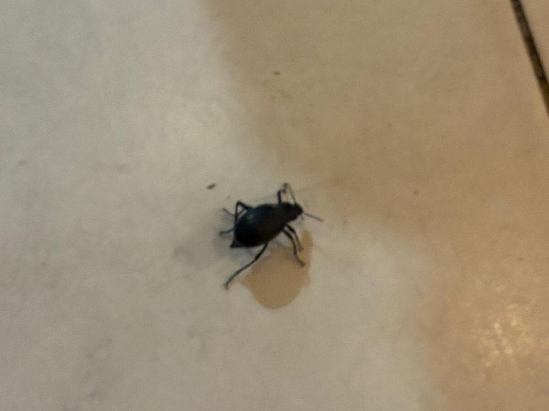 SpiceRoads Cycling-Si Sunthon必去景点