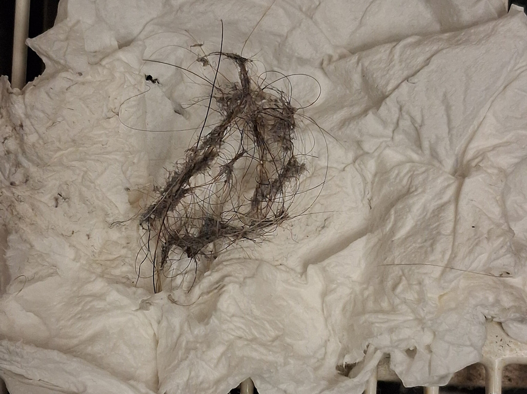 Aristi's Mansion主图