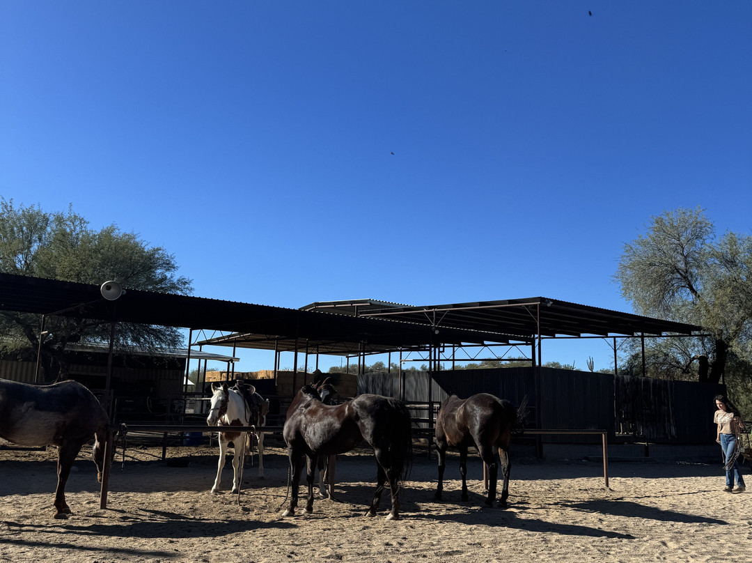 Kay El Bar Guest Ranch-Wickenburg必去景点