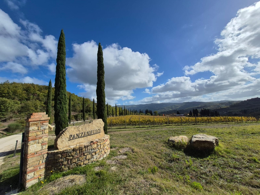 Panzanello Winery in Chianti-Panzano in Chianti必去景点