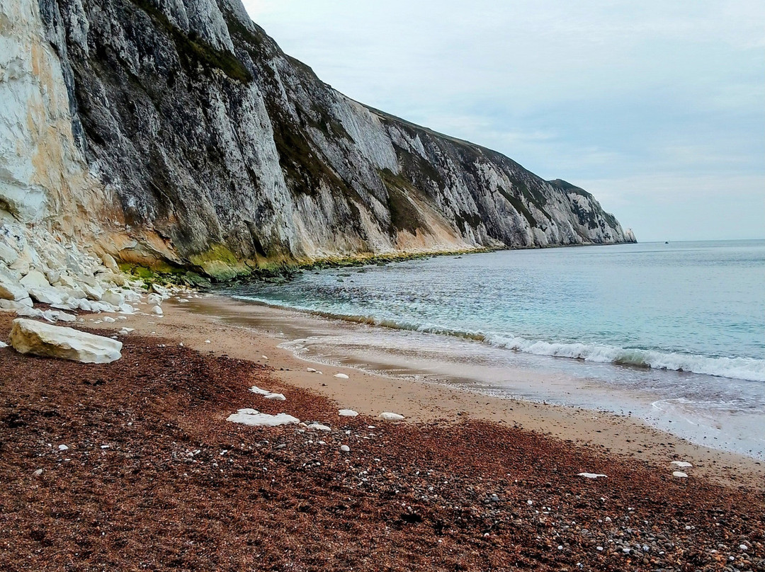 The Harrow Lodge Hotel主图