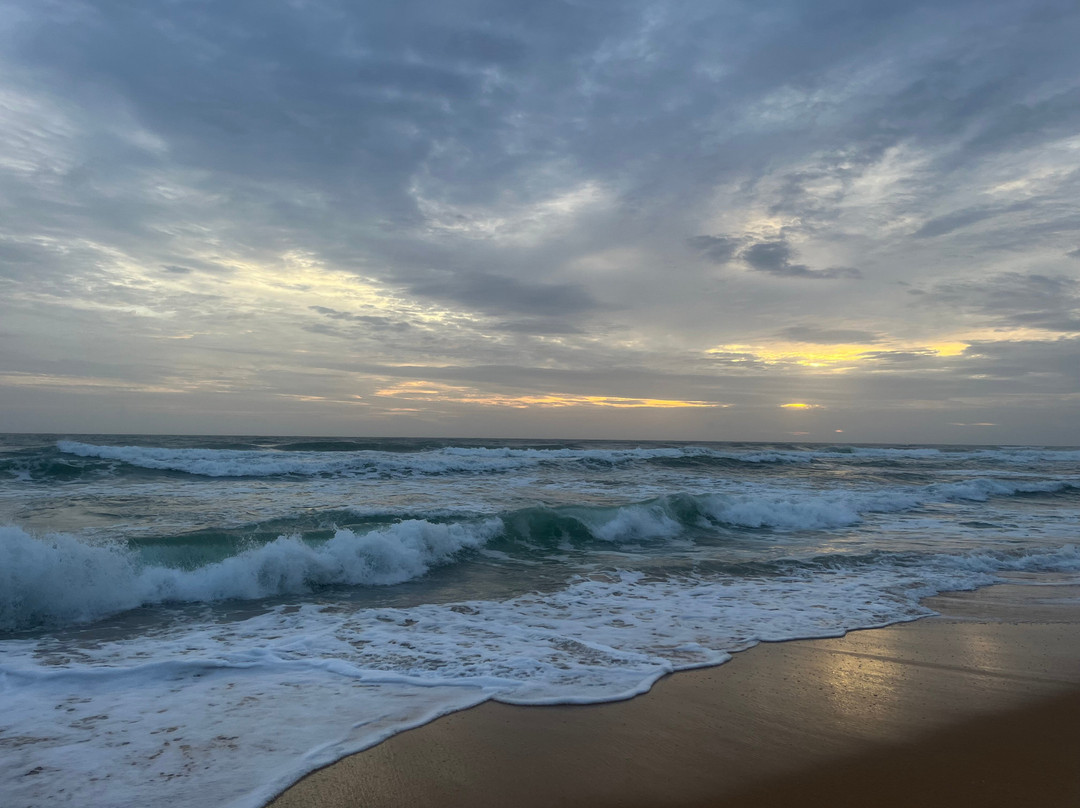 Villa Saffron Hikkaduwa主图