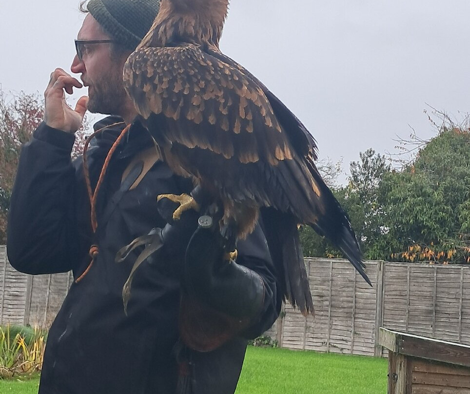 Baytree Owl and Raptor Centre-Spalding必去景点