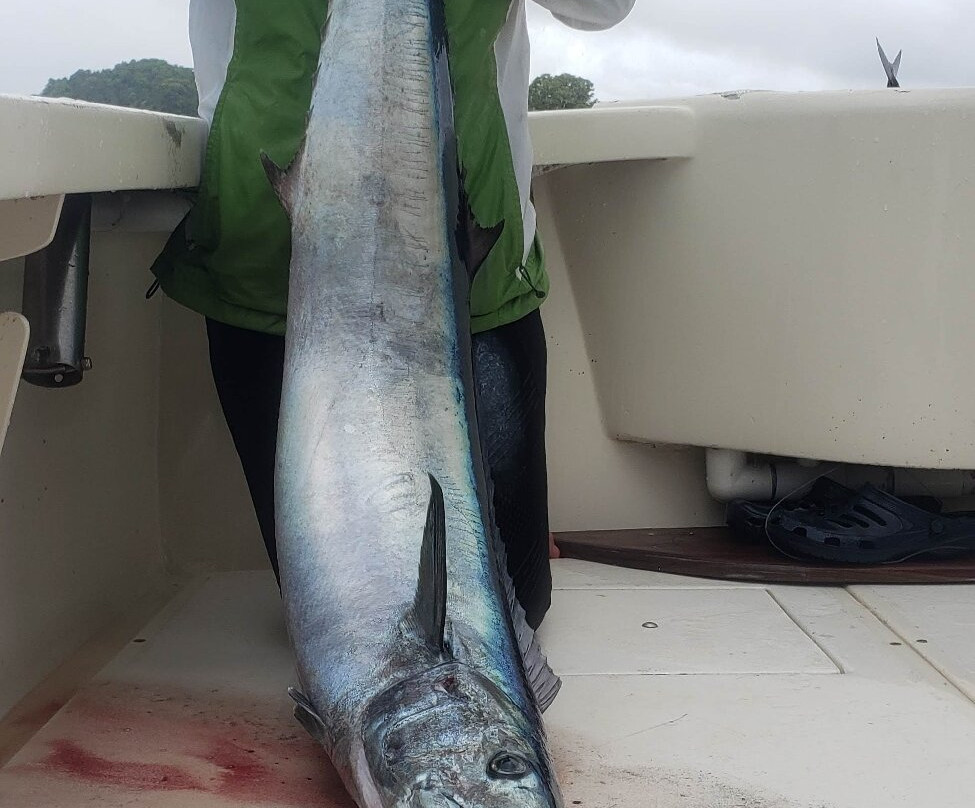 Coiba Adventure Sport Fishing-Isla de Coiba必去景点