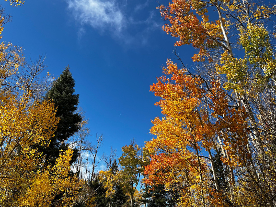 Aspen Vista Trail-圣菲必去景点