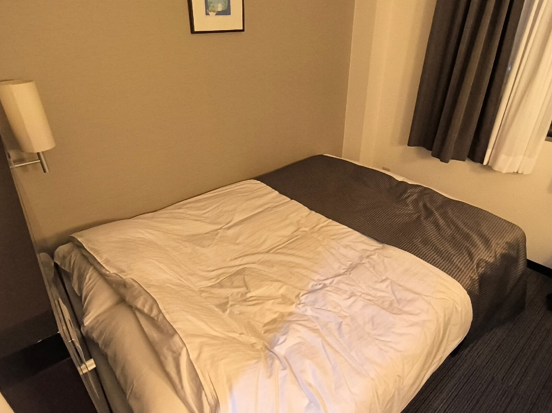 Saijo Urban Hotel主图