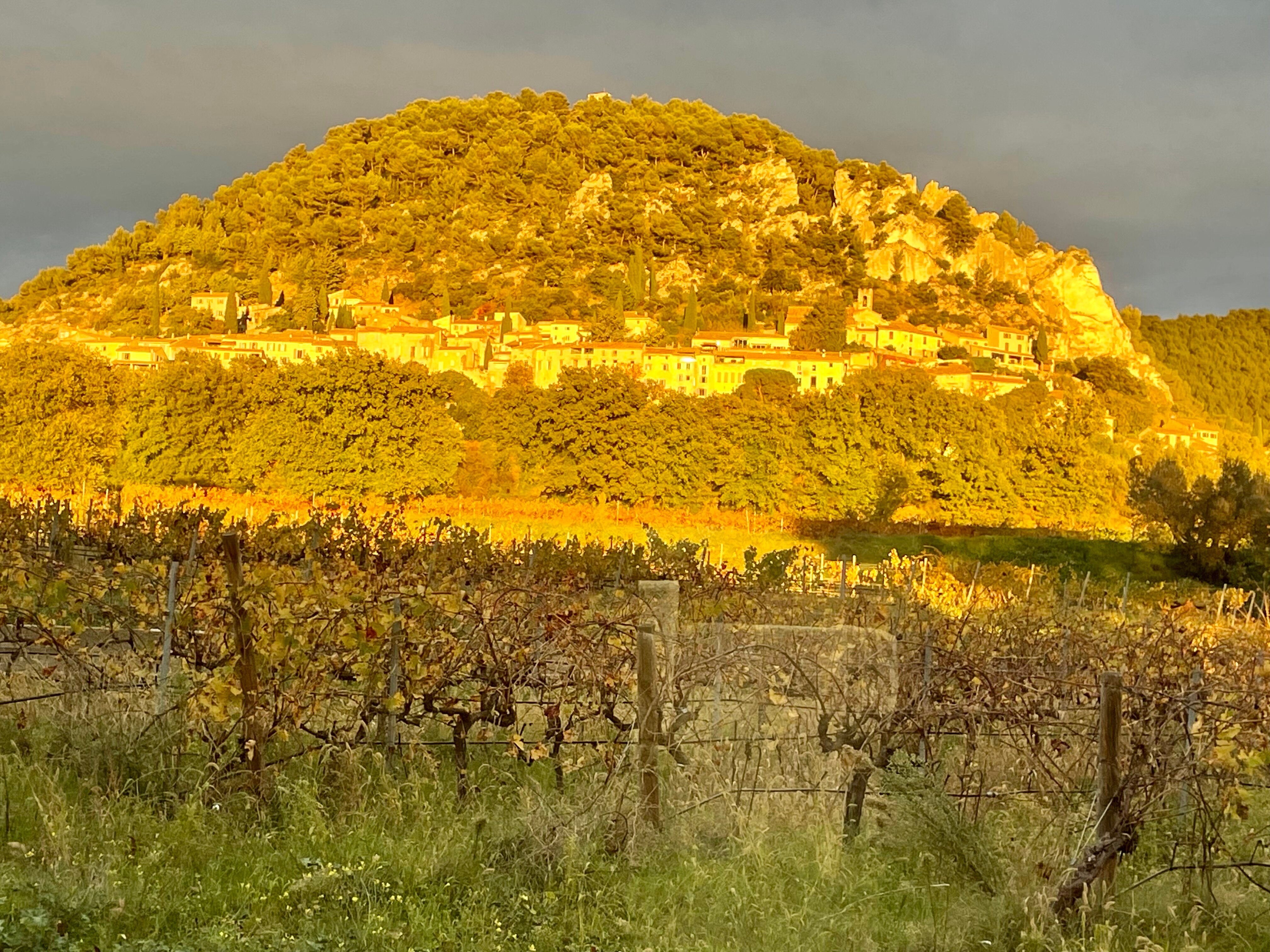 Logis Hôtellerie du Domaine de Cabasse-客卧