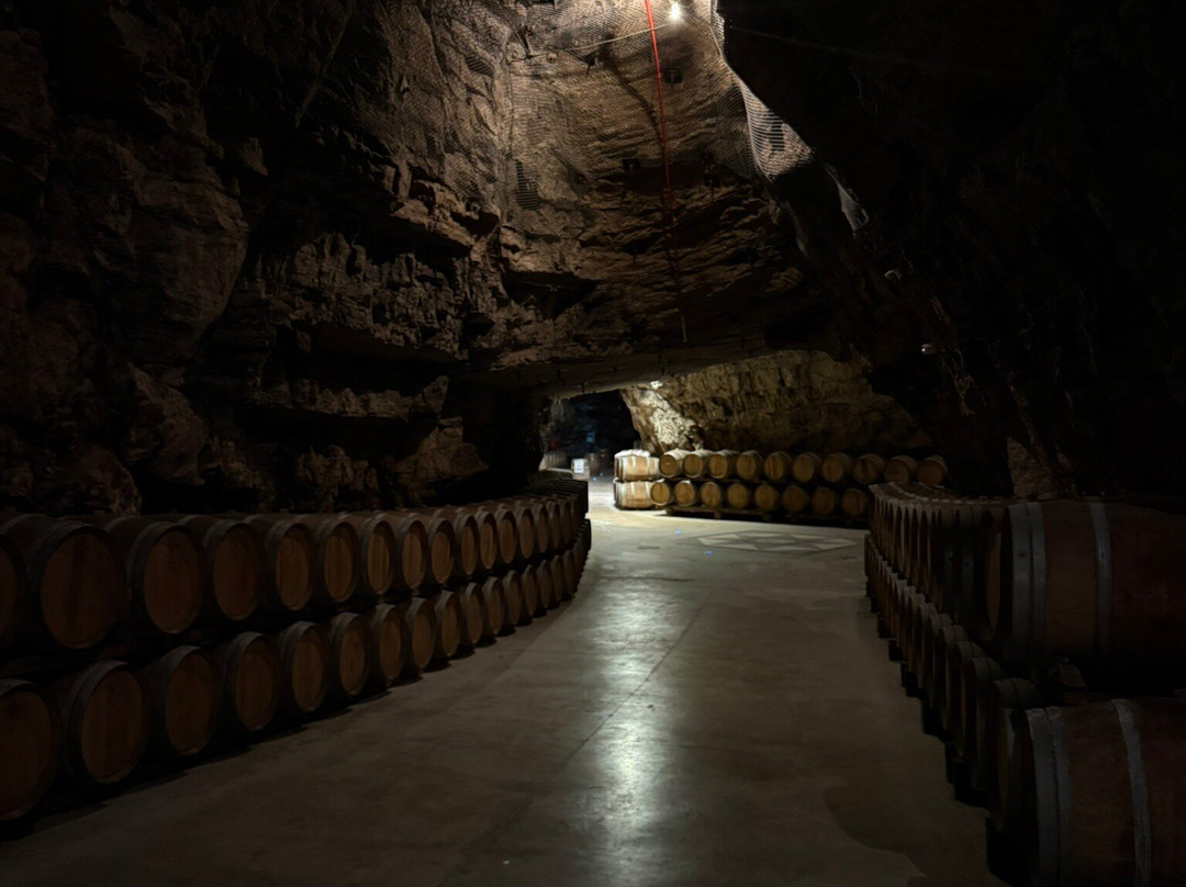 Terra Vinéa-Portel-des-Corbieres必去景点