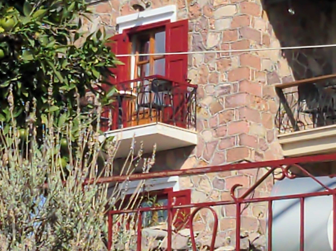 The Shoolmistress With The Golden Eyes主图