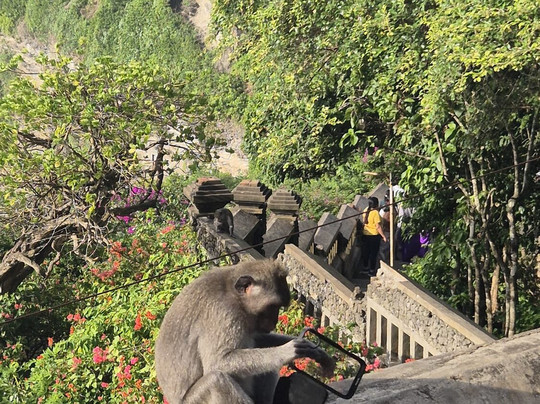 Krisna Bali Trekking Tour-金塔马尼必去景点