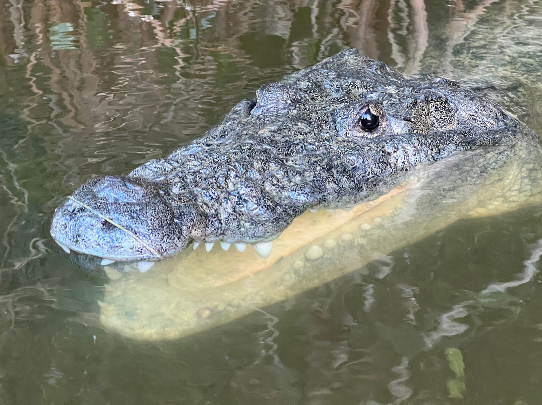 Rio Lagartos Adventures-里奥拉加托斯必去景点
