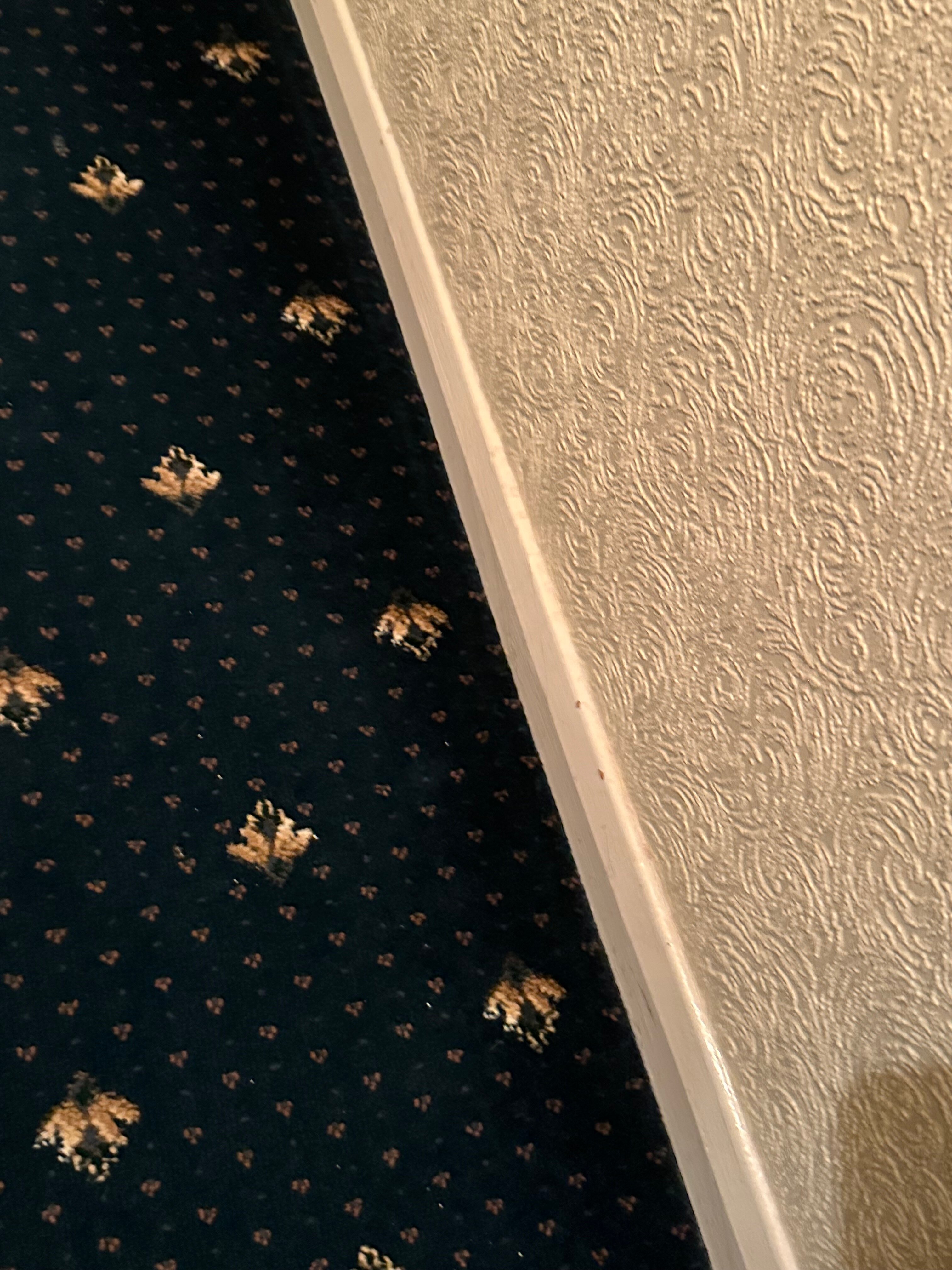 Moorville Hall Hotel-官方