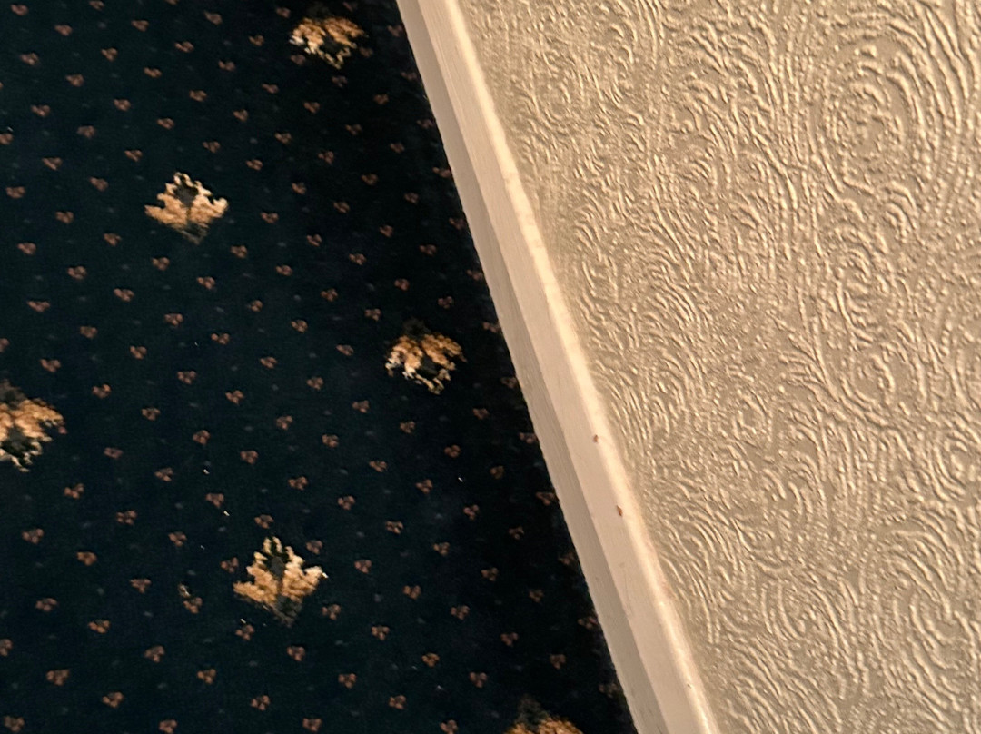 Moorville Hall Hotel主图