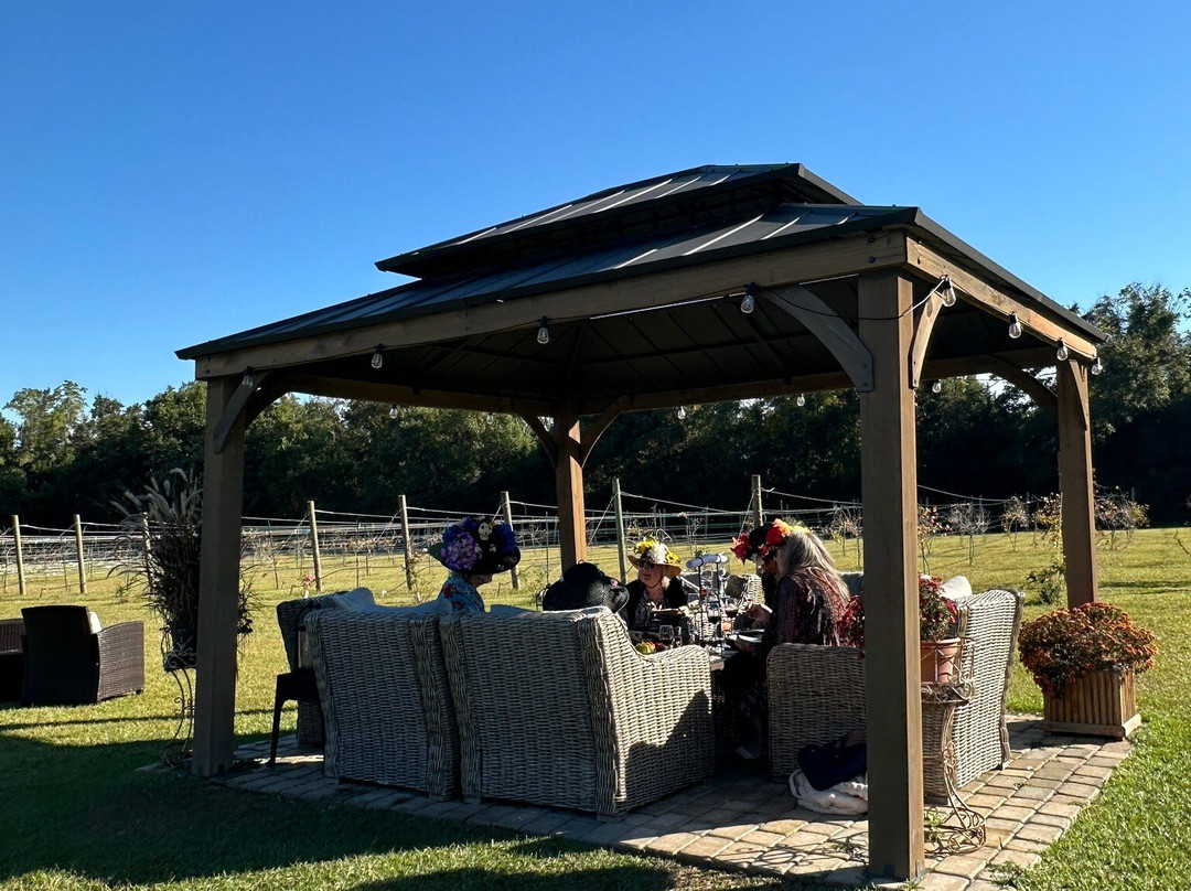 Southern Grove Vineyard-费尔霍普必去景点