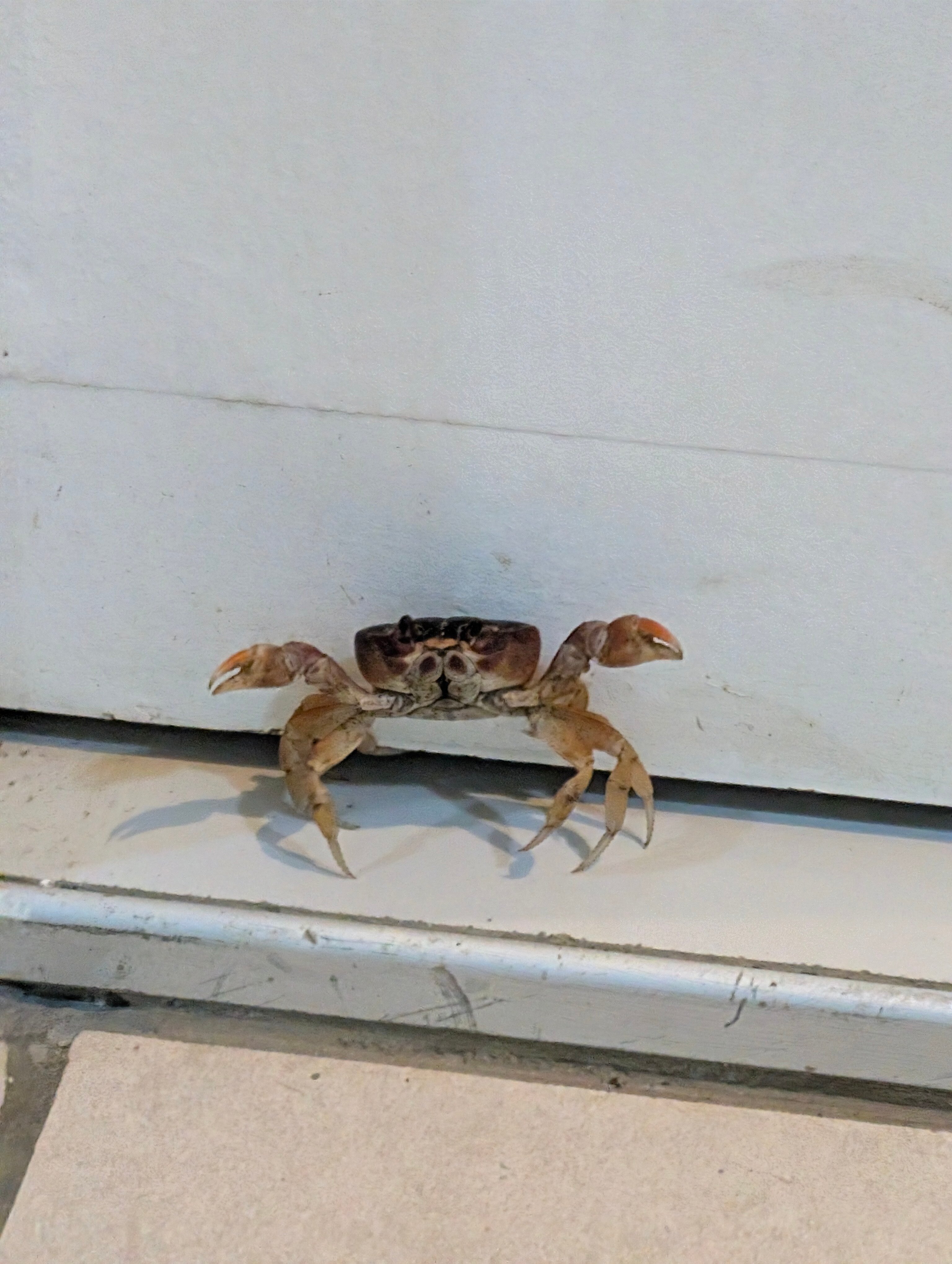 Sanctuary at Grand Memories Holguin-浴室