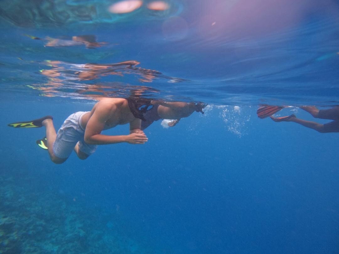 Buccaneer Diving-帕杰必去景点