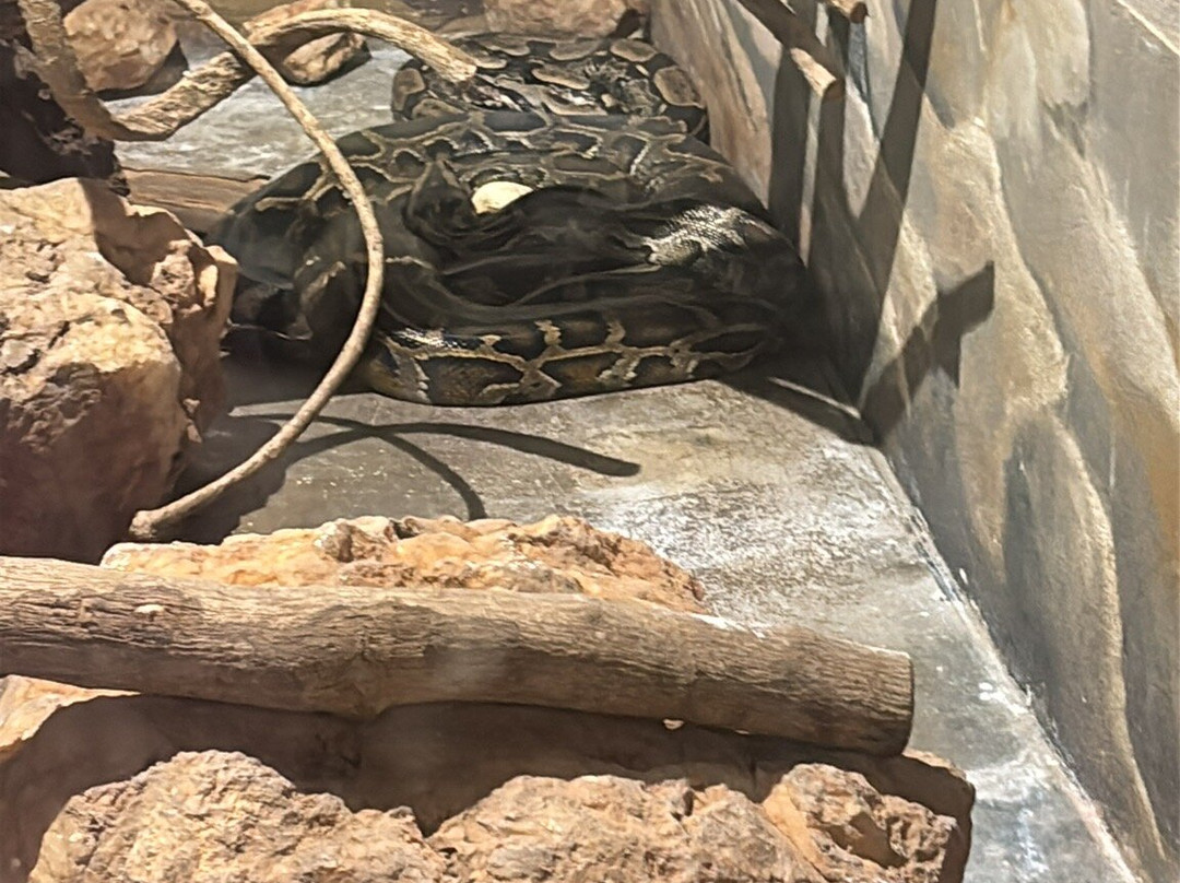 Projeto Jiboia-博尼图必去景点