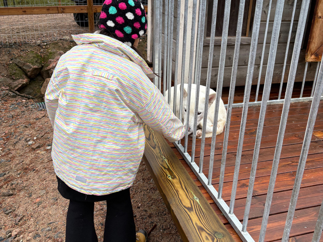 Arctic Circle Husky Park-罗瓦涅米必去景点