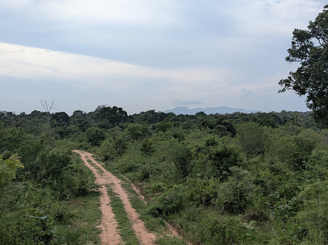 Safari With Asanka-锡吉里亚必去景点