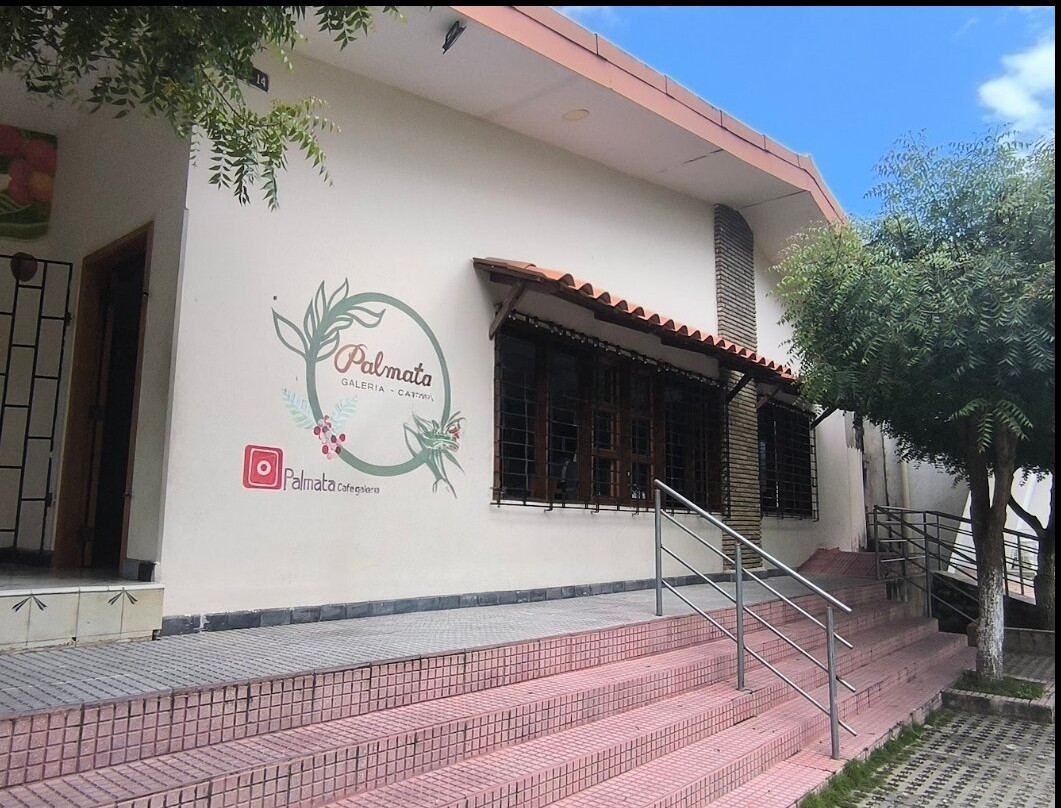 Palmata Galería Café