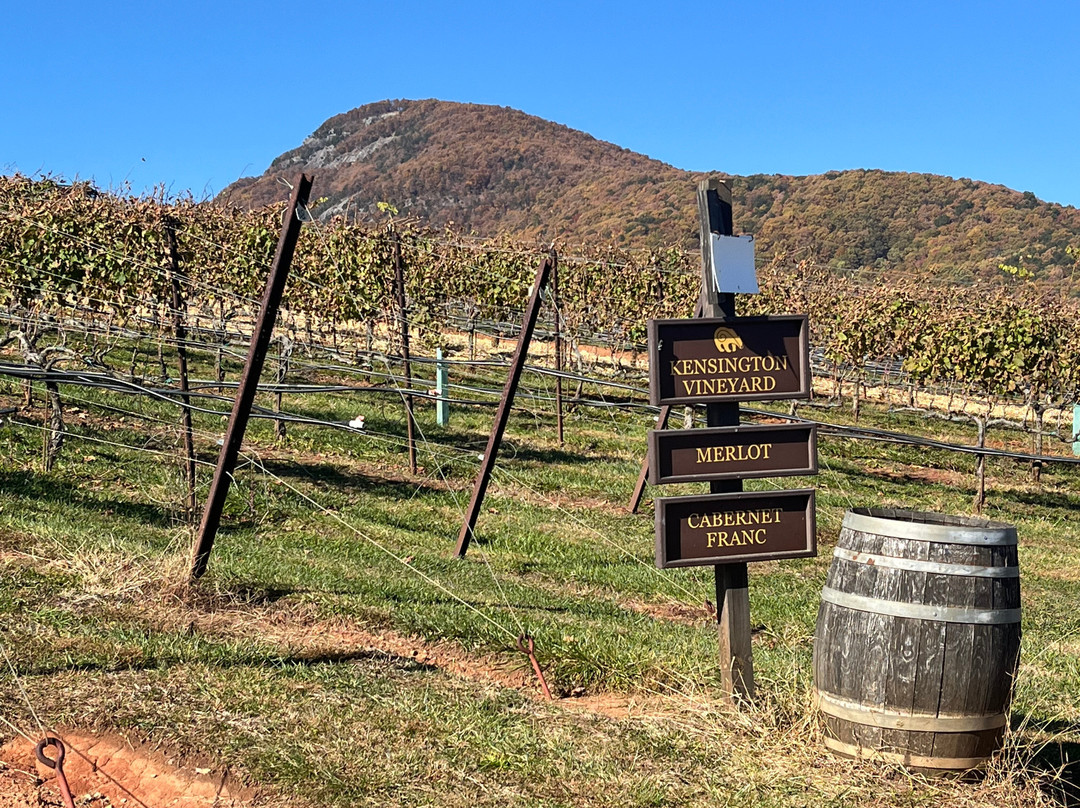 Yonah Mountain Vineyards-Cleveland必去景点