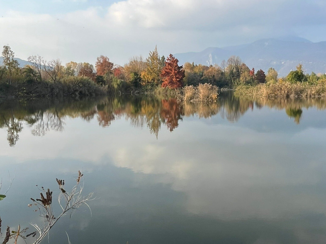 Torbiere del Sebino-Provaglio d'Iseo必去景点