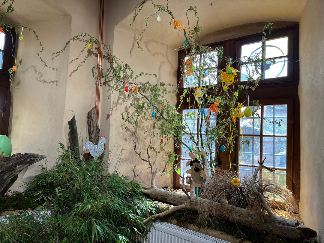 Bureau D'information Touristique De Turckheim-图克汉必去景点