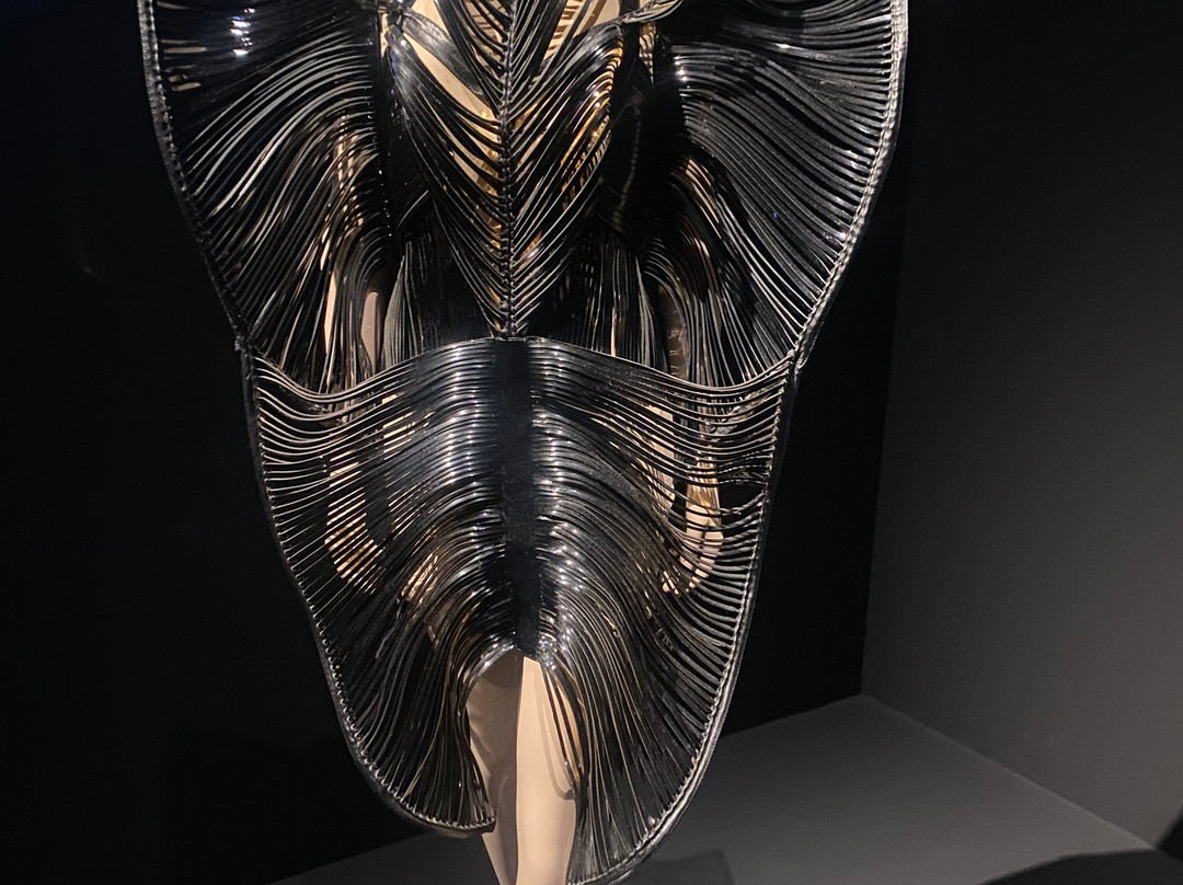 昆莎美术馆-鹿特丹必去景点