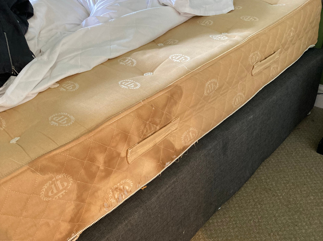 Shrigley Hall Hotel & Spa主图