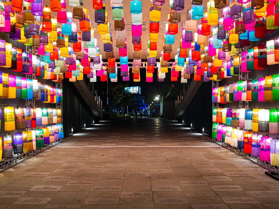 Jinju Namgang Yudeung Festival-晋州市必去景点