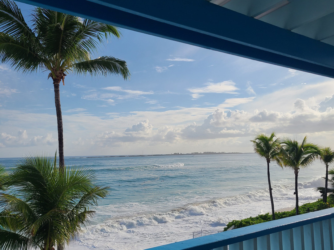 Paradise Island Beach Club主图