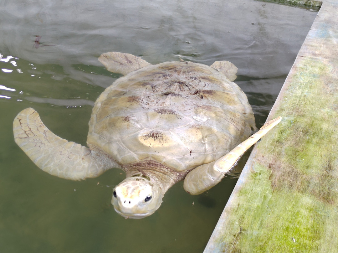 Journey Lanka-Bandaragama必去景点