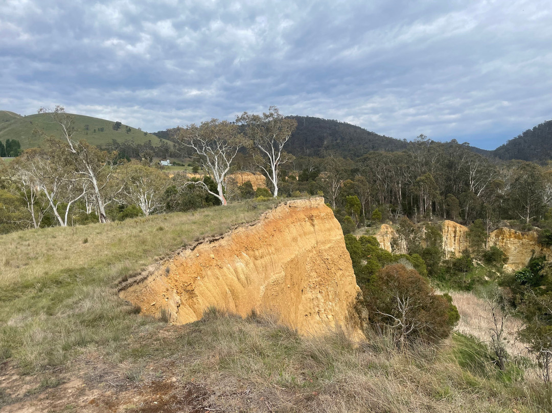 Pioneer Lookout-Omeo必去景点