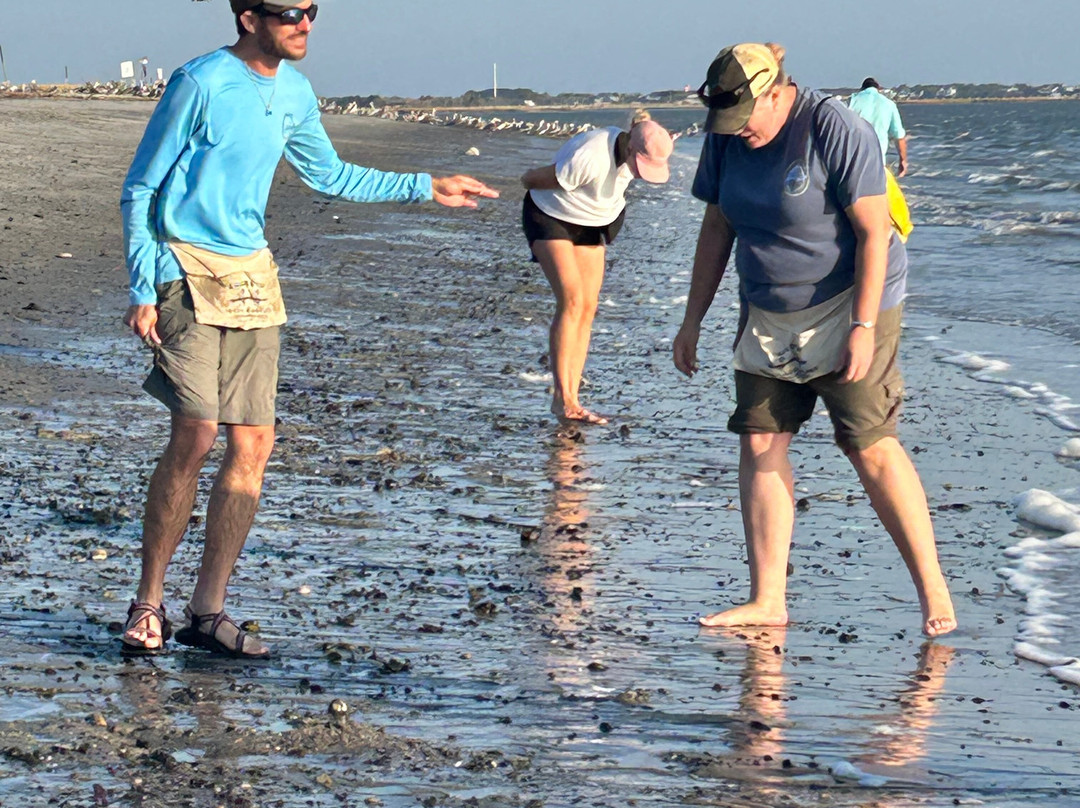 Charleston Fossil Adventures-查尔斯顿必去景点