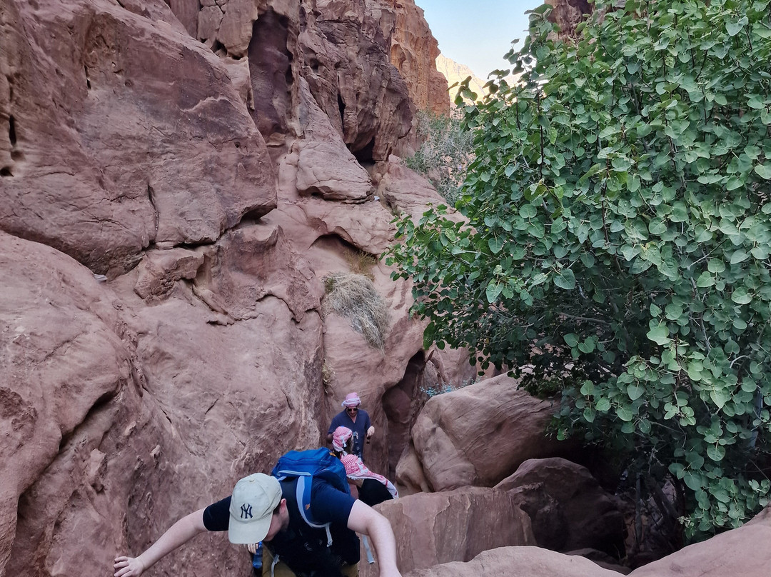 Wadi Rum Eco Tours-Wadi Rum Village必去景点