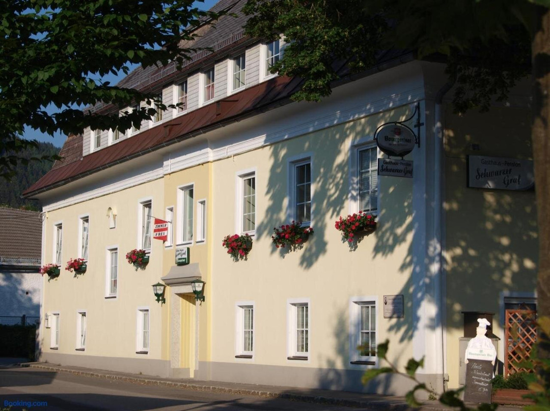 温迪施加斯滕酒店住宿-Gasthaus-Pension Schwarzer Graf