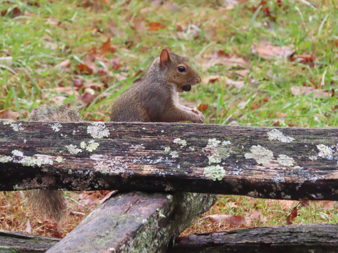 Cades Cove Visitor Center-大雾山国家公园必去景点