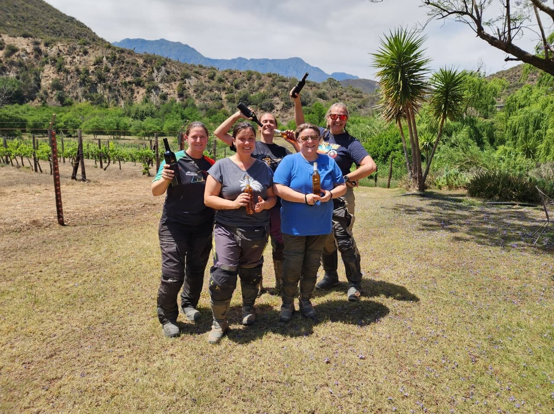 Peter Bayly Wines-Calitzdorp必去景点