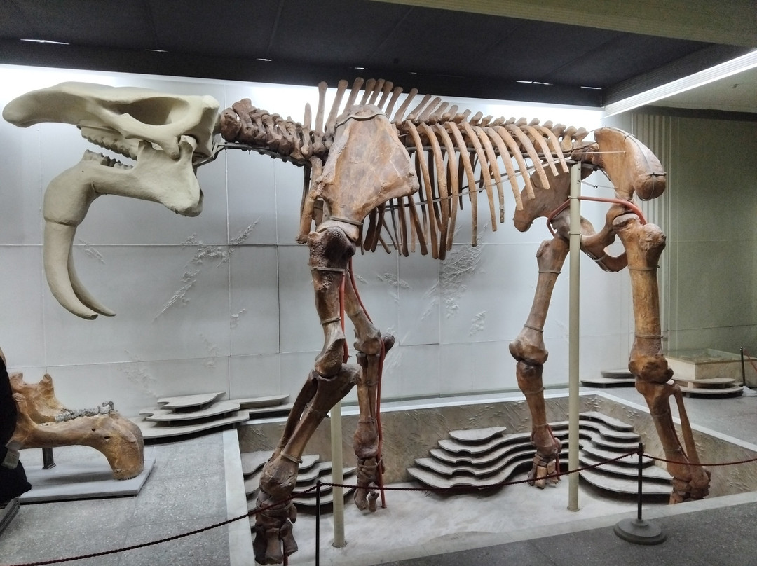 National Museum of Ethnography and Natural History-基希讷乌必去景点