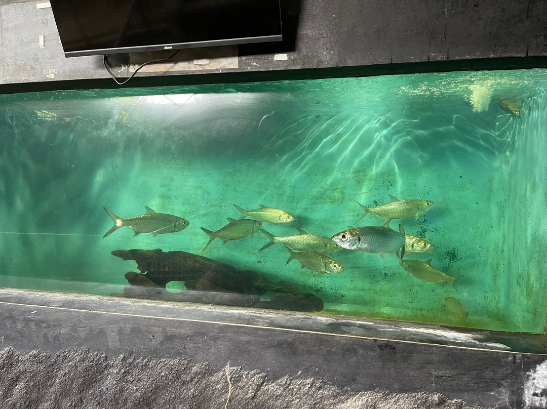 Water World Lanka-凯拉尼亚必去景点