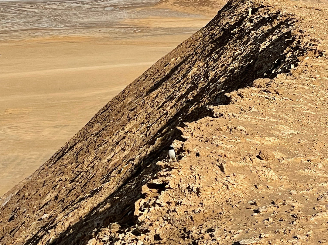 Galaxy Tours | Star Wars Tours & Indiana Jones Tours in Tunisia-塔吐弯必去景点